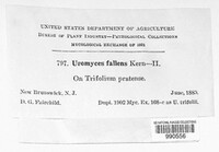 Image Associated With the Occurence
